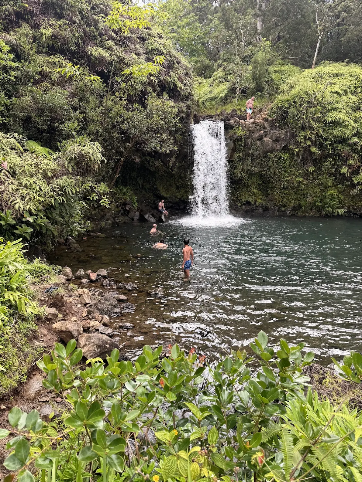 Guests swimming below a waterfall on the Road to Hāna