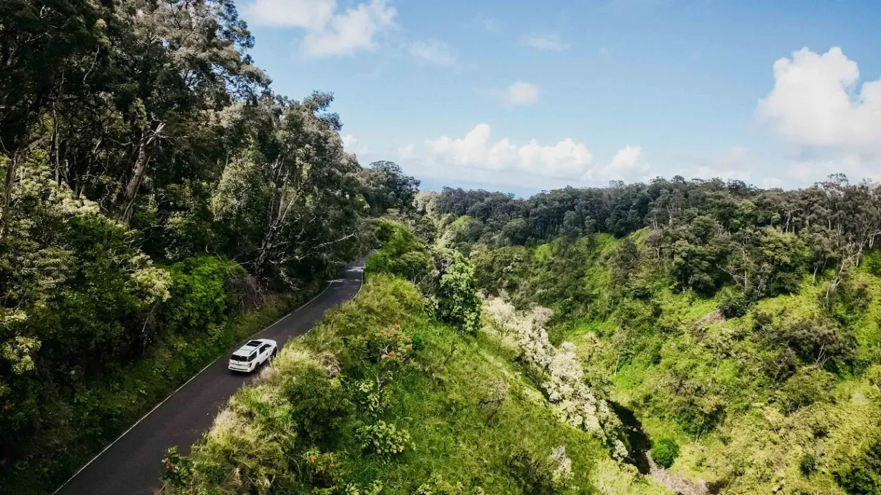 White luxury Expedition driving through the rainforest on the Road to Hana