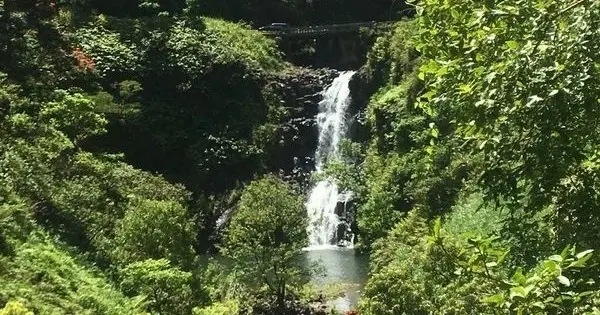Tropical waterfall in dense East Maui greenery on the Half-Day Hana tour