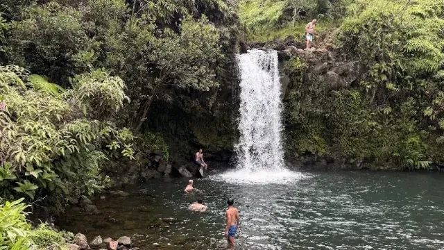 Rainforest waterfall and swimming pool on the Hana and Back tour