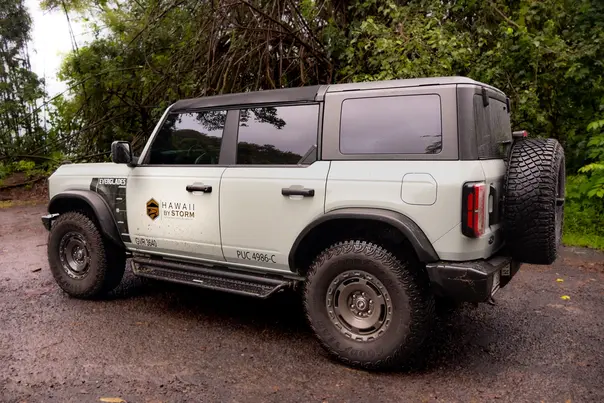 Branded Hawaii By Storm Bronco in a lush wet setting on the Half-Day Hana tour