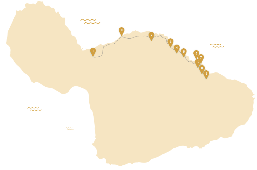 Illustrated Maui map showing the Half-Day Hāna tour route