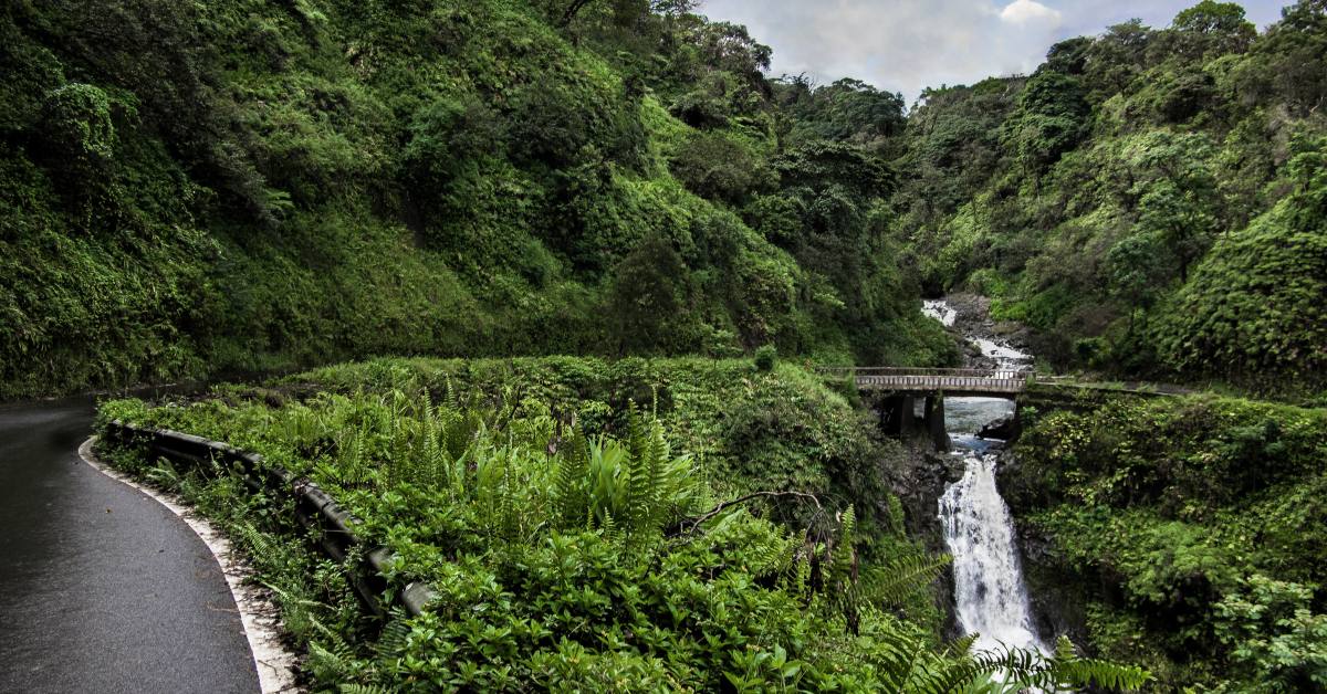 The narrow Hāna Highway crossing a waterfall bridge in East Maui rainforest