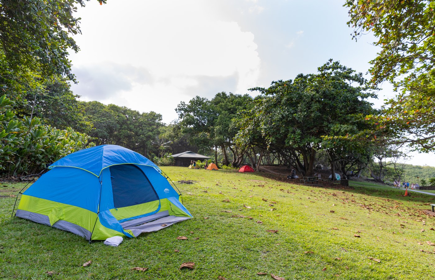 Waiʻānapanapa campground landscape and hala canopy along the Hāna coast