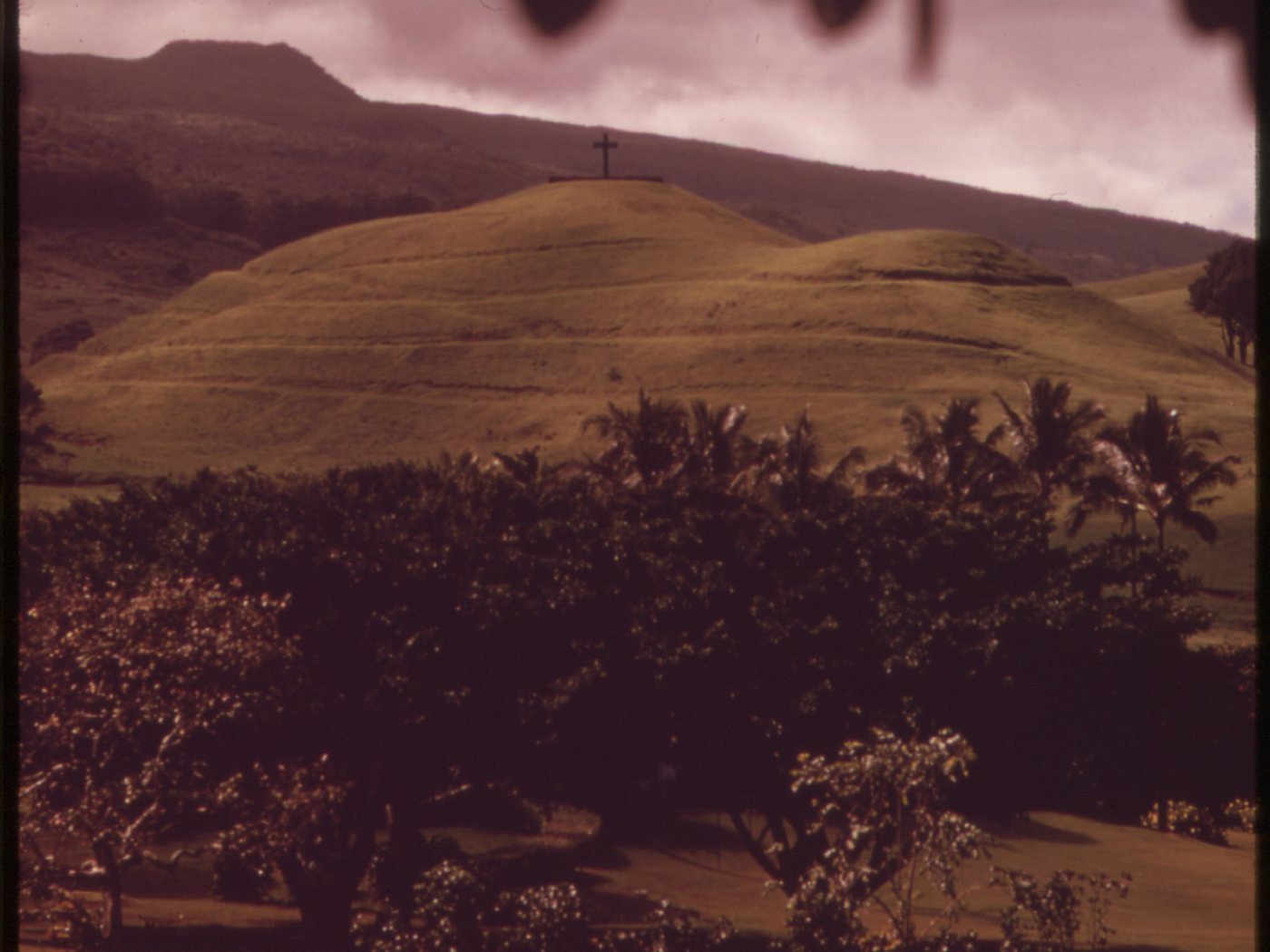 A cross on a cleared Hāna hillside above dense trees in a 1973 federal photograph