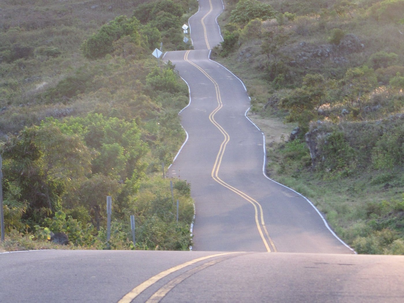 A paved road rising and falling through dry Kanaio vegetation