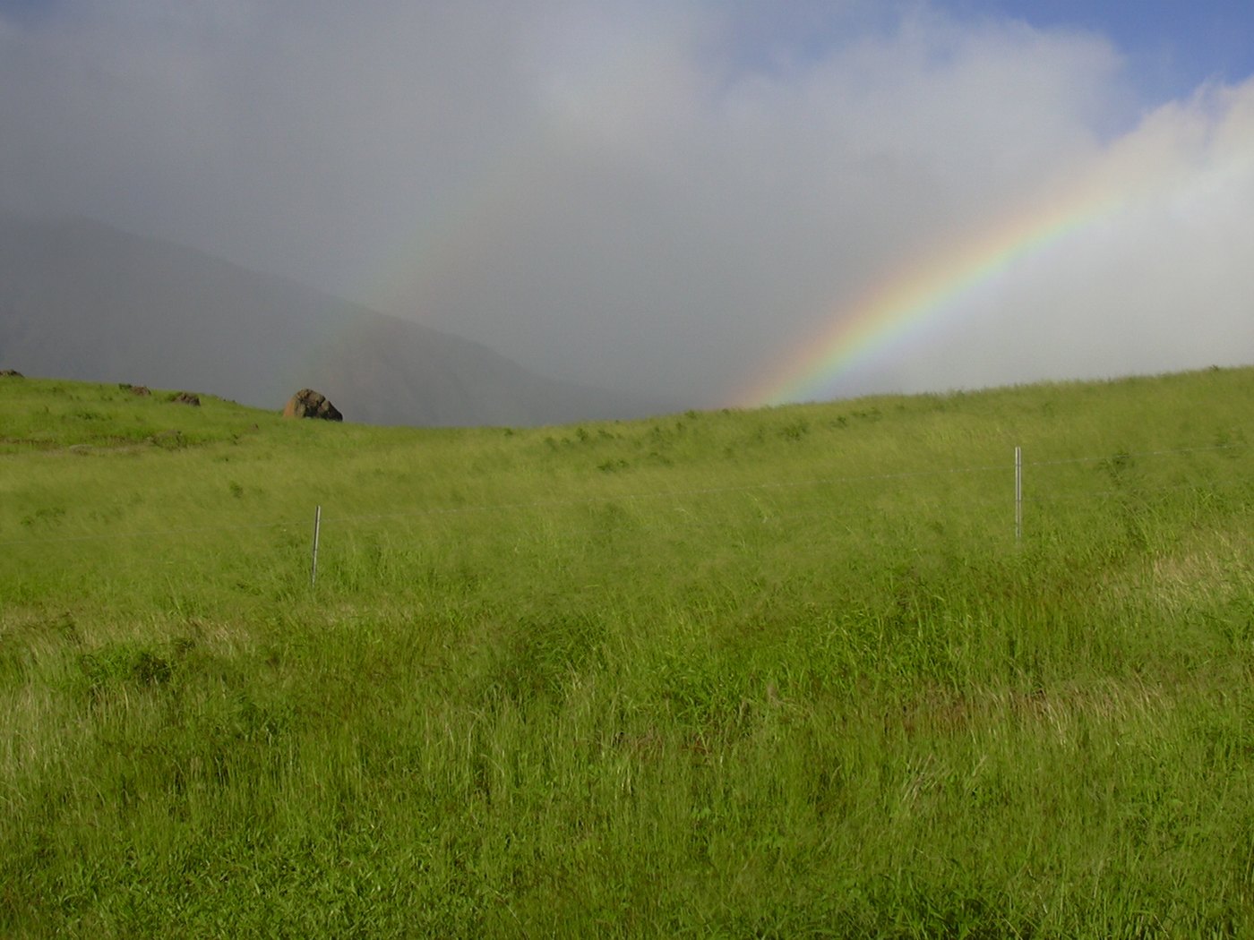 Rainbow over modern pasture and introduced grassland at Kaupō