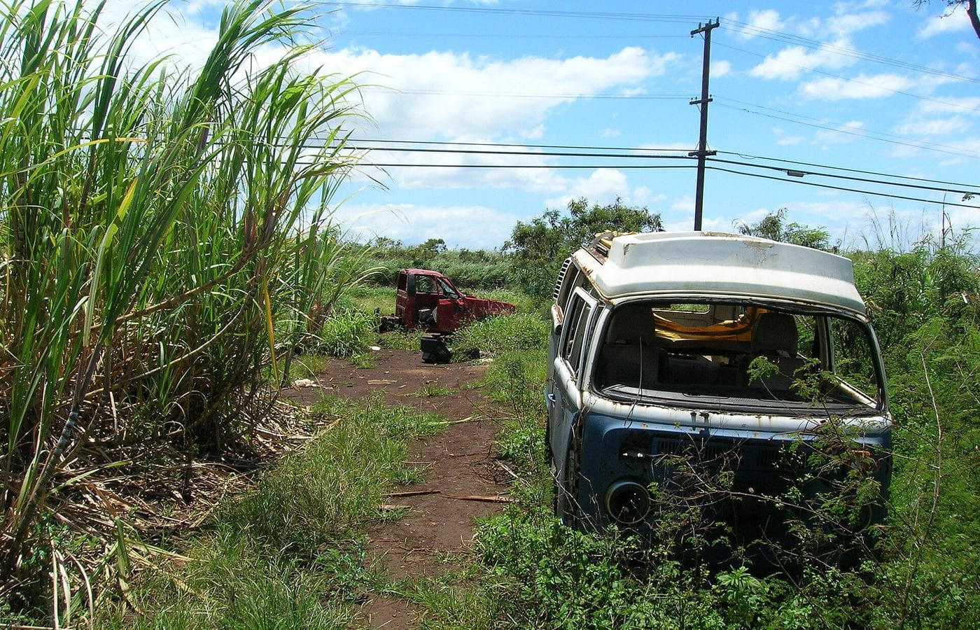 Remnant sugarcane in an abandoned Pāʻia field beside derelict vehicles in 2006