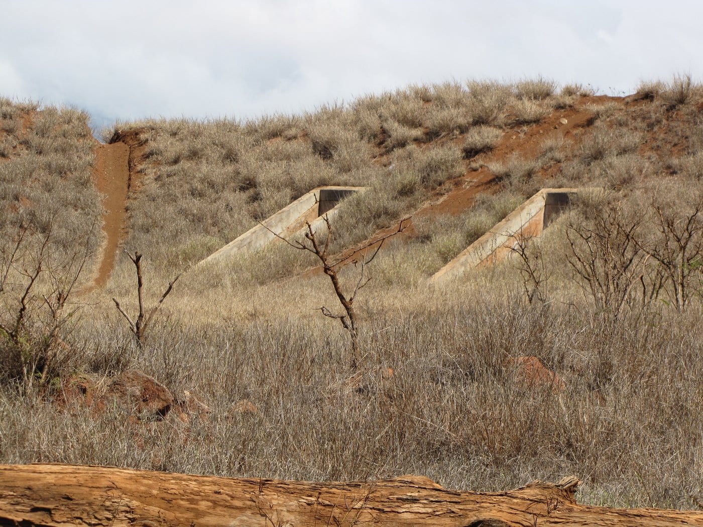 Concrete aircraft revetments and dirt-bike tracks at the former Puʻunēnē airfield