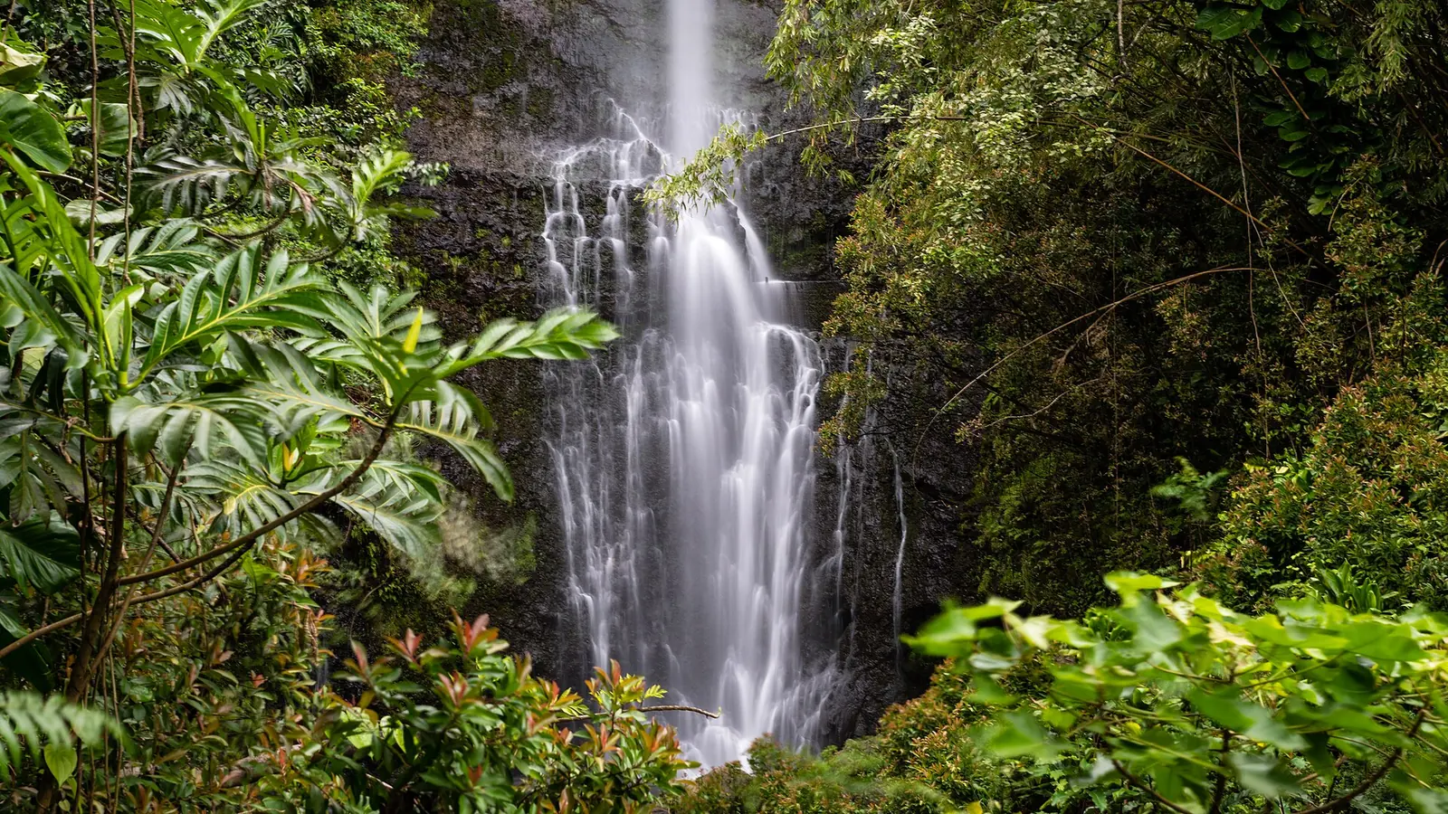 Wailua Falls descending a steep, forested East Maui cliff