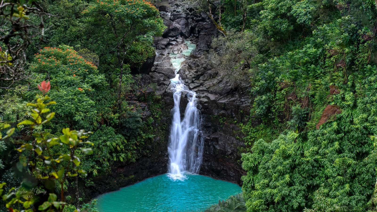 Puohokamoa Falls descending through dark lava and tropical forest in East Maui