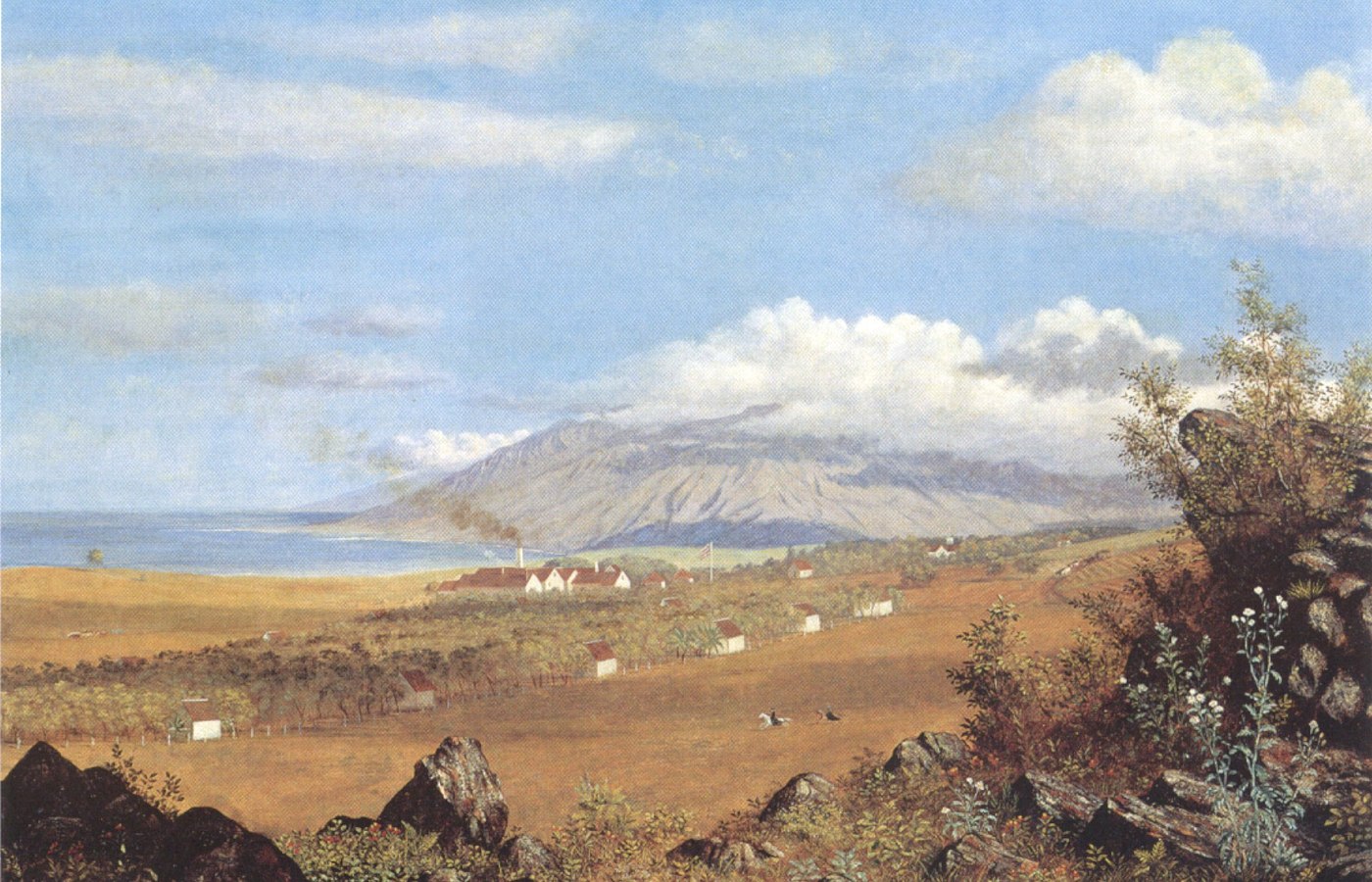 1865 painting of Rose Ranch fields and buildings below cloud-covered Haleakalā