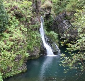 Road to Hana Waterfalls