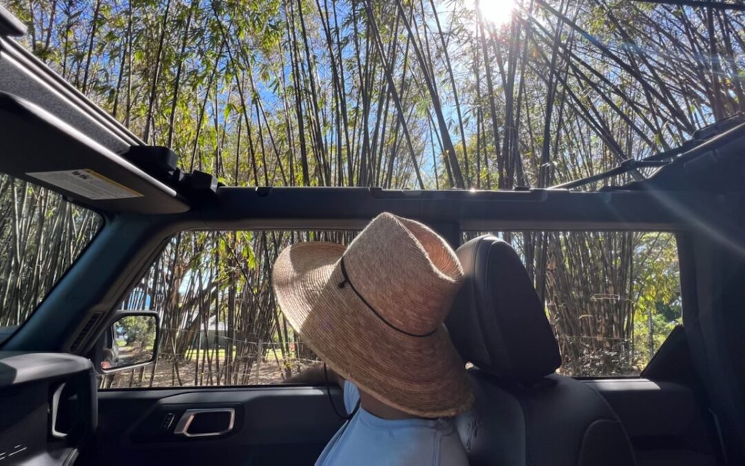 Should You Rent a Car or Book a Tour in Maui?