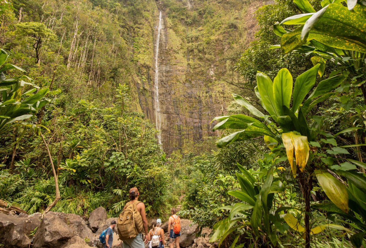 Hikers approaching Waimoku Falls at the end of the Pipiwai Trail