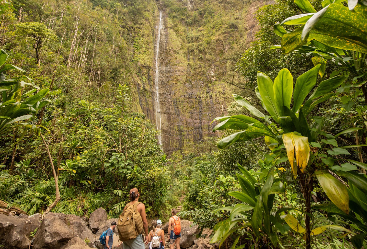 Best Private Tours for Groups Visiting Maui - Hawaii By Storm tour image 1