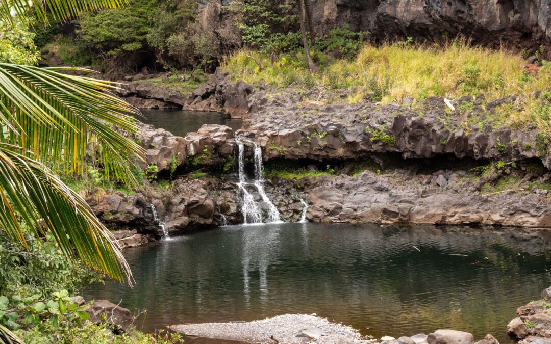 Pipiwai Trail vs. Twin Falls: Which Maui Hike is Better?