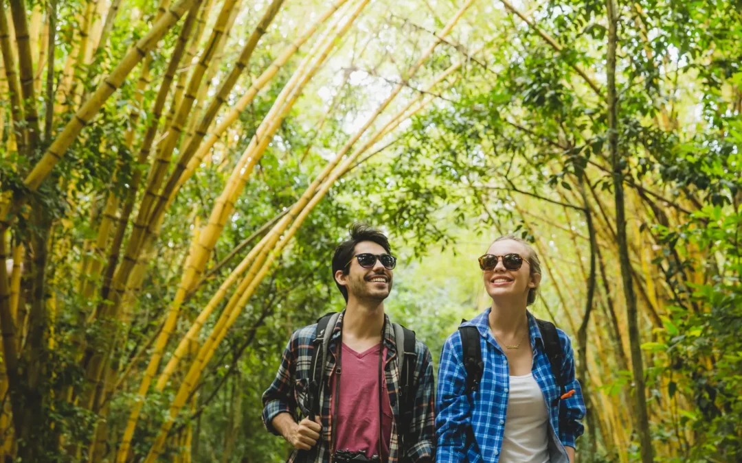 Private Maui Tours for Couples: Romantic Ideas
