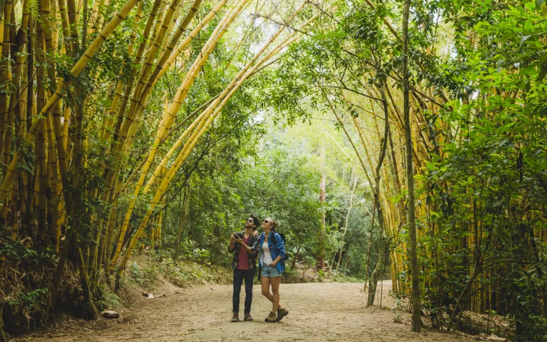 5 Tips for Hiking the Pipiwai Trail Like a Local