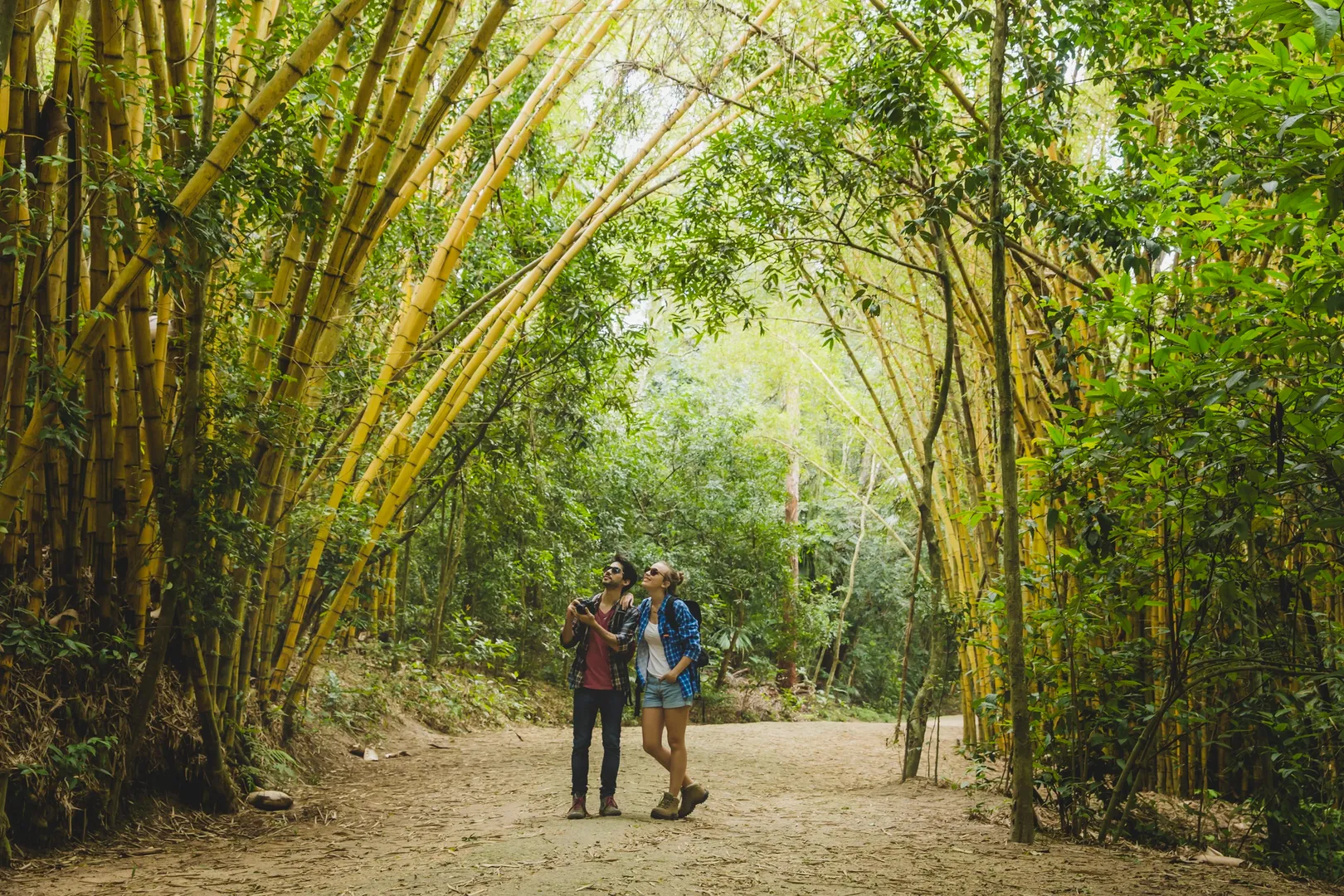 5 Tips for Hiking the Pipiwai Trail Like a Local - Hawaii By Storm tour image 1