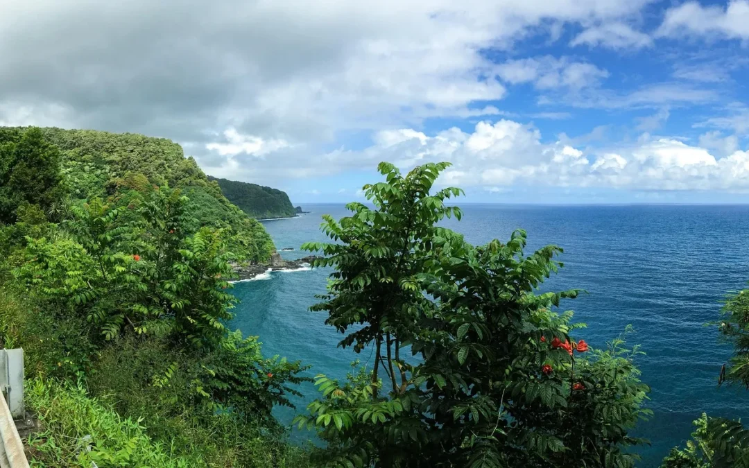 Road to Hana Stops You Can’t Miss