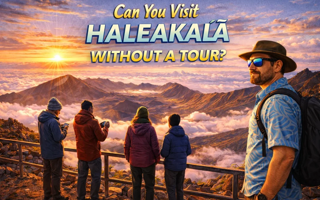 Can You Visit Haleakalā Without a Tour?