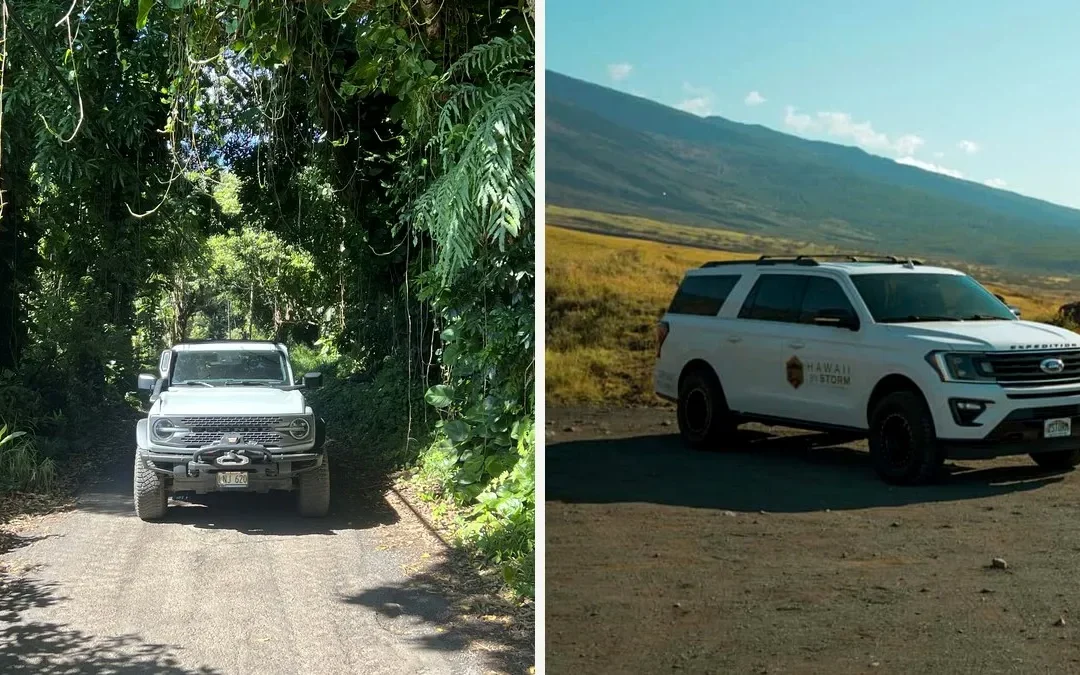 Road to Hana Safety: Why Visitors Book a Guide Instead of Driving