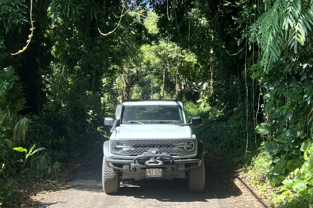 Back Road to Hana: Should Visitors Drive It? - Hawaii By Storm second supporting image