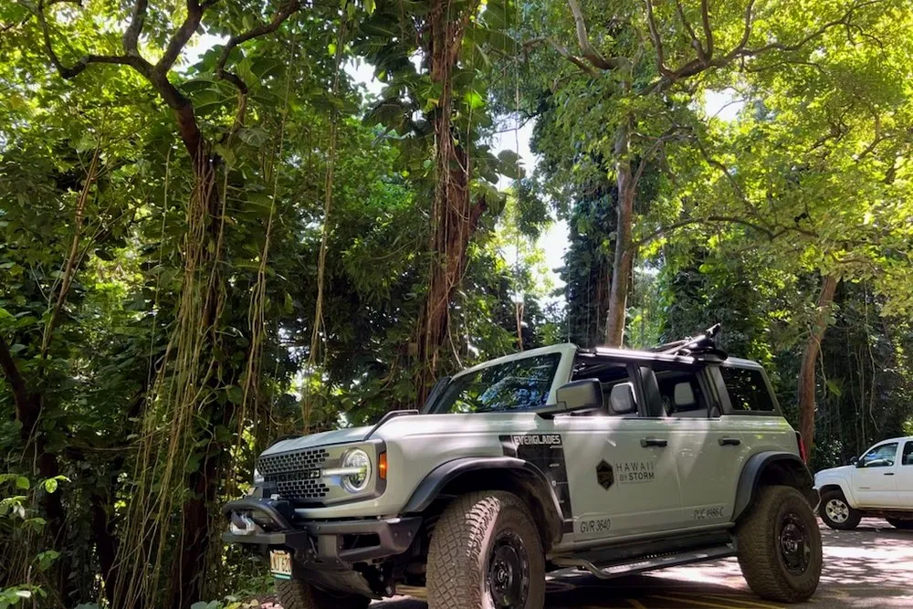 Road to Hana Etiquette: How to Be a Respectful Visitor - Hawaii By Storm second supporting image