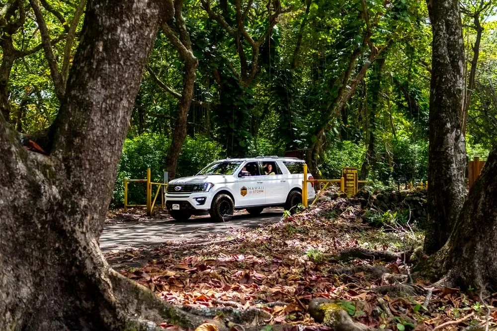 Waimoku Falls and Bamboo Forest: What to Know Before You Go - Hawaii By Storm second supporting image