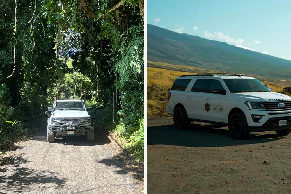 Private Maui Tour vs Group Bus Tour: Comfort, Time, and Value - Hawaii By Storm second supporting image