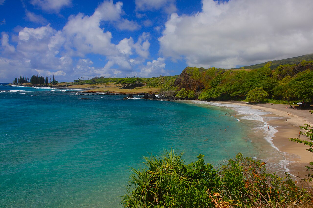 Hāmoa Beach curving along the green East Maui coast