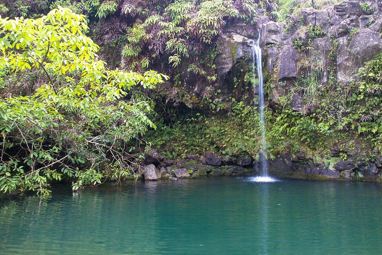 Puaʻa Kaʻa Falls and its pool surrounded by East Maui vegetation