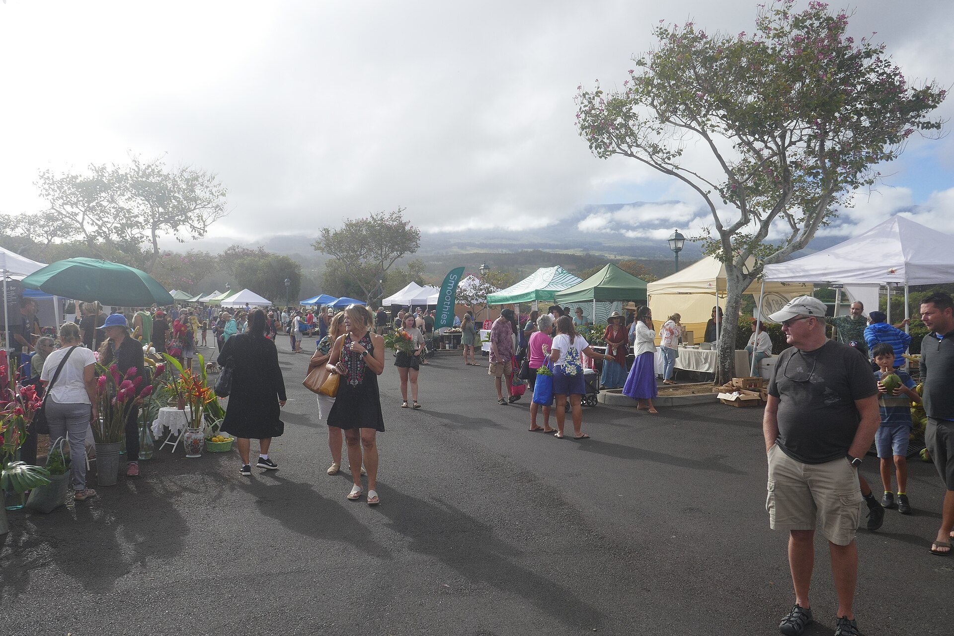 Produce stands at the Upcountry Farmers Market on Maui