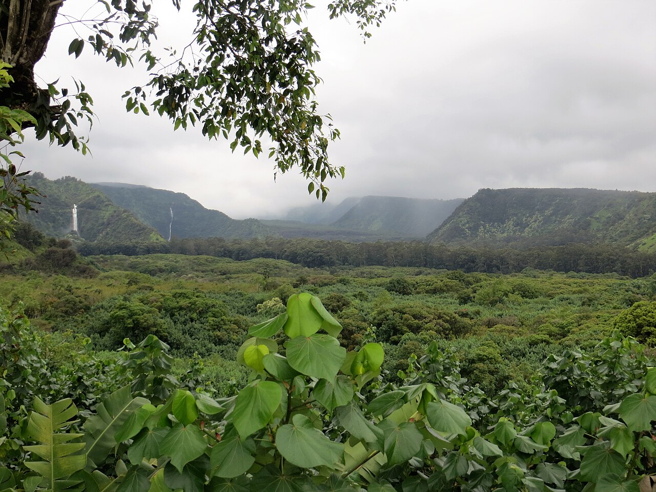 Green valley and coastline viewed from Wailua Valley State Wayside
